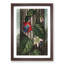 Winged Passion-Flower by R.J. Thornton - Picture Frame Painting Print-55612629-55612630