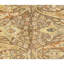 Hand Knotted Area Rug in Brown And Ivory