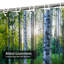 Rideau de douche Birch Forest-812591832