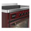 Majestic III Series 48 Inch Induction Range with 6 Induction Elements in Matte Graphite (Brass Trim)-1917753923-1917753926