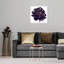 Pivoine noire - cadre photo-80845287-80845288