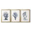 «Blue Antique Coral II», reproduction encadrée de qualité supérieure - prête à être accrochée-69879425-69879424