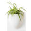 Wall Planter-23555157