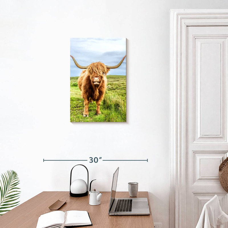 «Fluffy Baby Highland Cow», Écosse, H 24 po x l 16 po