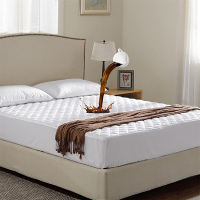Olavarria Mattress Protector Case Pack