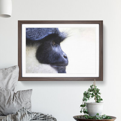 Colobus Monkey - Picture Frame Graphic Art