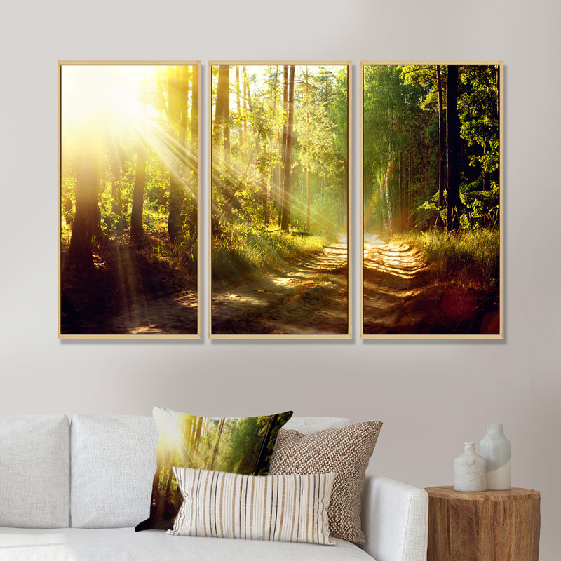 Sun Rays in Misty Old Forest - Ensemble de 3 reproductions encadrées sur toile, H 32 po x l 48 po, Brun