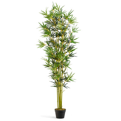 Faux bambou en pot