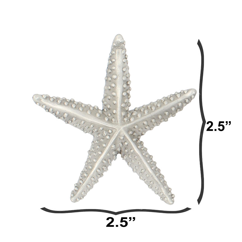 Poignée étoile de mer moyenne, Nickel brossé, L 2,5 po x l 2,5 po, 1