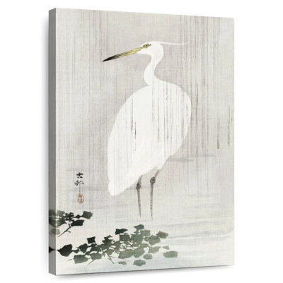 Aigrette ronce sous la pluie