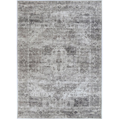 Oriental Indoor Rug