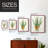 Succulent IV Framed Print - Solid Wood-1904633929-1904633926