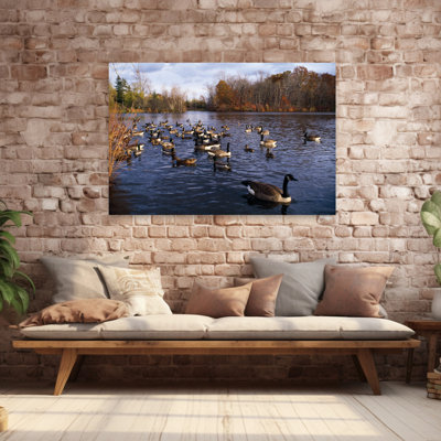 Bernaches du Canada, Branta Canadensis et canards colverts Anas Platyrhynchos nageant sur un étang, New York, États-Unis Oiseau canard contemporain