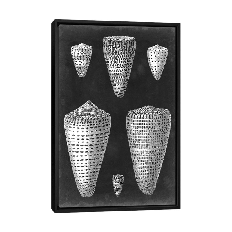 «Alabaster Shells I» par Visions Studio, reproduction sur toile, H 26 po x l 18 po x P 1,5 po, Toile avec cadre noir