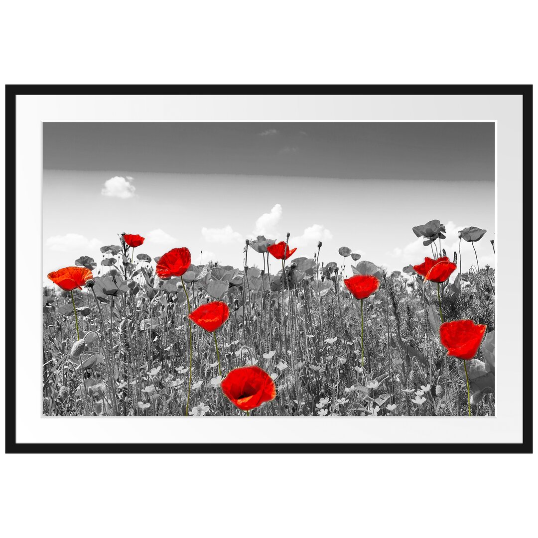 Gerahmtes Poster Schöner Rot Leuchtender Mohn