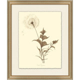 Dandelion Print