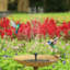 Aljo Weather Resistant Fountain