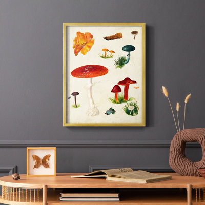 Reproduction encadrée champignon Mushroom Species