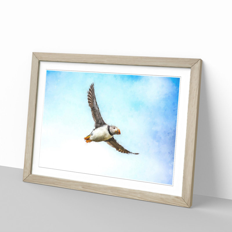 Flying Atlantic Puffin Bird - Picture Frame Graphic Art Print, 45cm H x 63cm W x 2cm D, Oak Framed