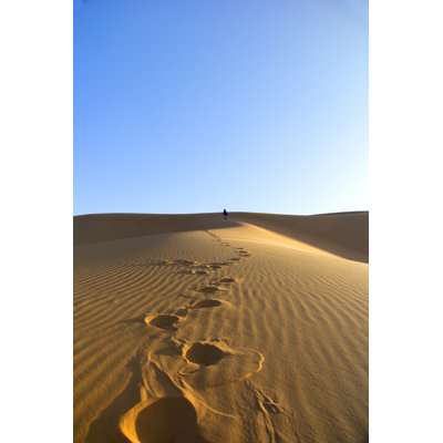 " Sahara Desert " by Erosera