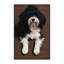  Tapis lavable Puli Dogs-1479512952