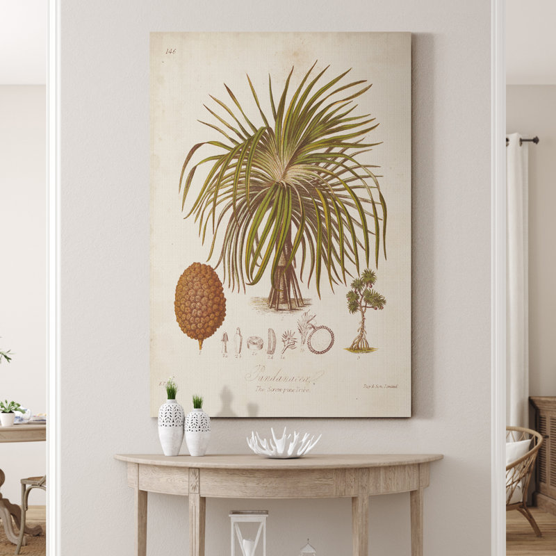 « Antique tropical Palm II », reproduction d’art sur toile tendue, H 36 po x l 24 po x P 1 po
