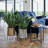 Adderley Metal Pot Planter-1464308644