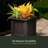 Selevae Resin Planter Box with Water Reservoir-1028672285-1028672230
