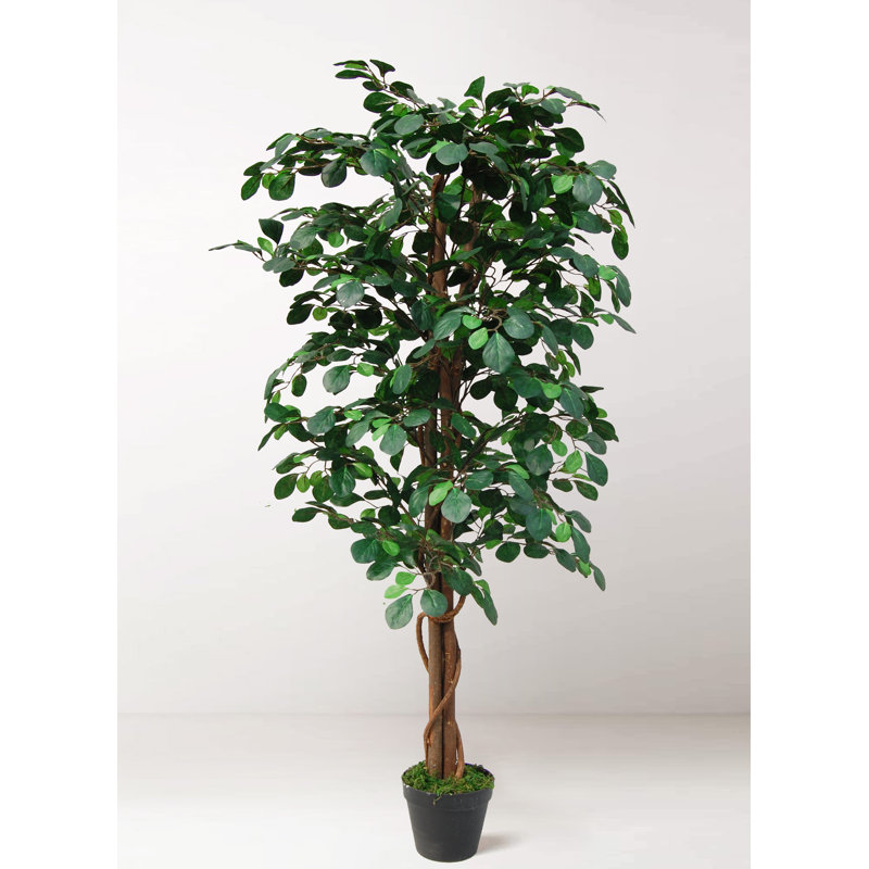 Tradala Trees 135cm Faux Coin Tree in Pot, Black