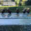 Photos des clients 1 de 1