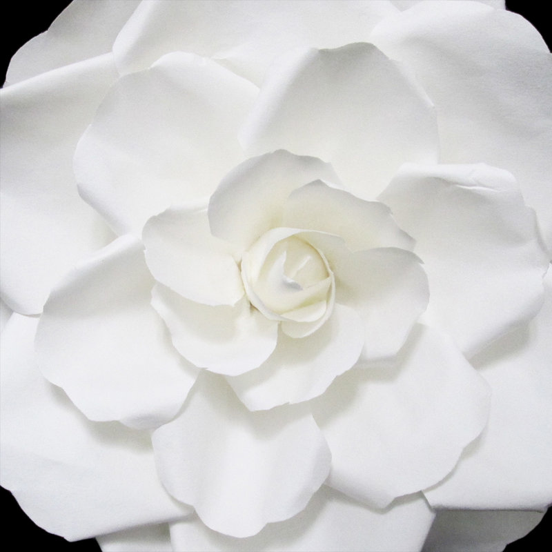 Décoration murale rose en papier Gardenia, 12'' H x 12'' W x 3.5'' D