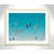 Gold Box Frame is unavailable