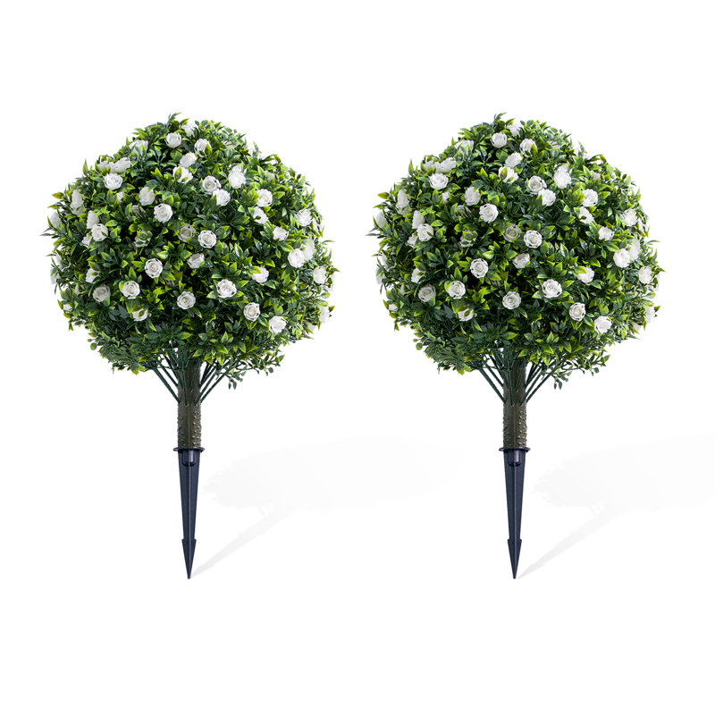 60cm Plant