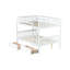 Lit superposé double en bois d'hévéa avec 2 tiroirs - blanc, conception convertible, inclus blanc fabriqué en bois détachable, garde-corps-1335800438