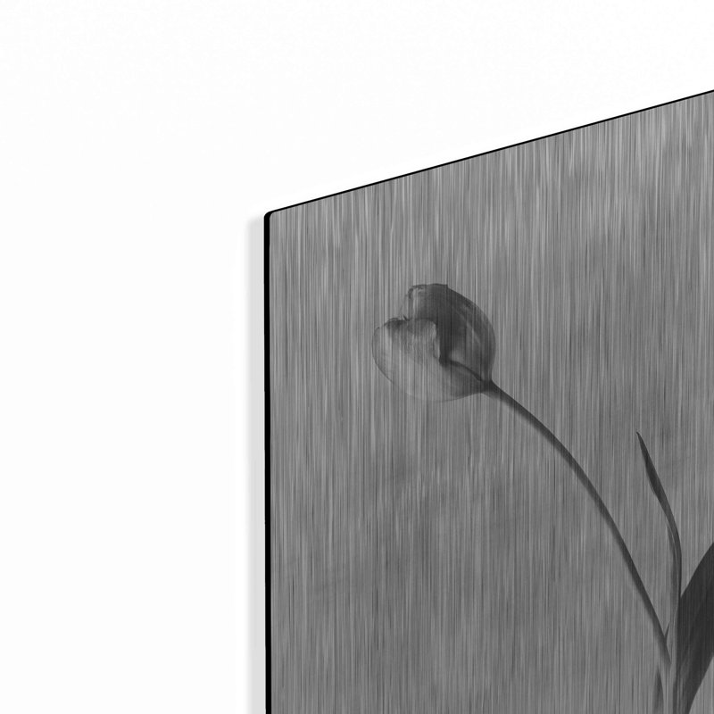 «Soft Tulips II» par Debra Van Swearingen, H 16 po x l 12 po