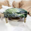 Modern 40cm Wide Velvet Rectangle Footstool Ottoman – Floral Upholstered Storage Seat for Living Room or Lounge