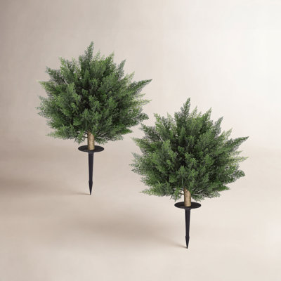 28" Cedar Topiary