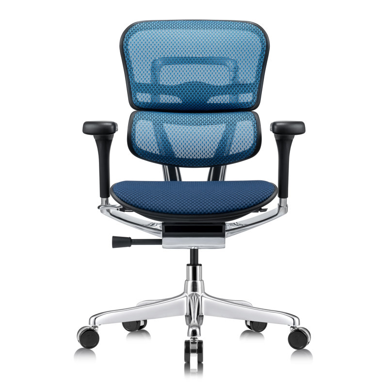 Fauteuil de bureau ergonomique Tempur-Pedic Ergohuman Gen2, Bleu
