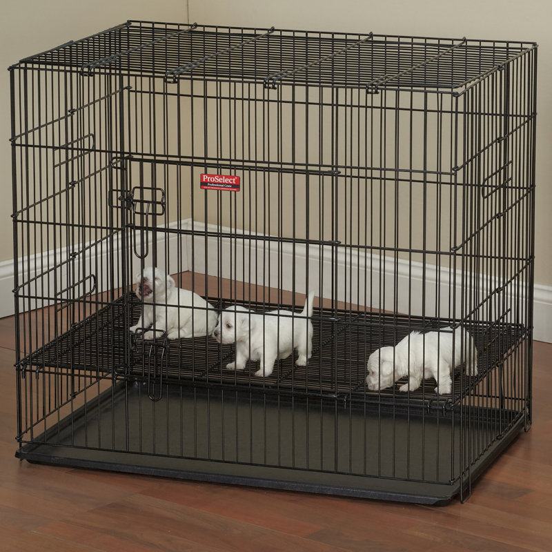 Caisse pour animaux