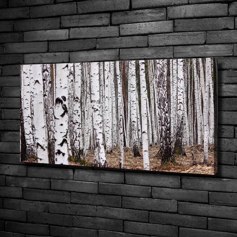 Birch-Tree - Wrapped Canvas Print
