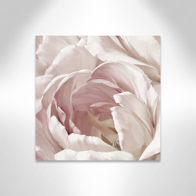 Intime rosé II - photographie