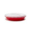 Contenant alimentaire Alpine Pie Saver
