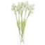 Pack of 6 x 60cm White Starflower