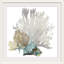 « Coral » par Aimee Wilson - reproduction d'impression sur toile tendue-403207844-515388064-403263568