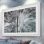 Karolis Janulis - Single Picture Frame Print-963233166