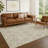 Machine Washable Indoor/Outdoor Chantille ACN2670 Modern Rug-1730985270-1730985258