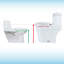 One Piece Convenient 20" Seating Height Elongated Toilet