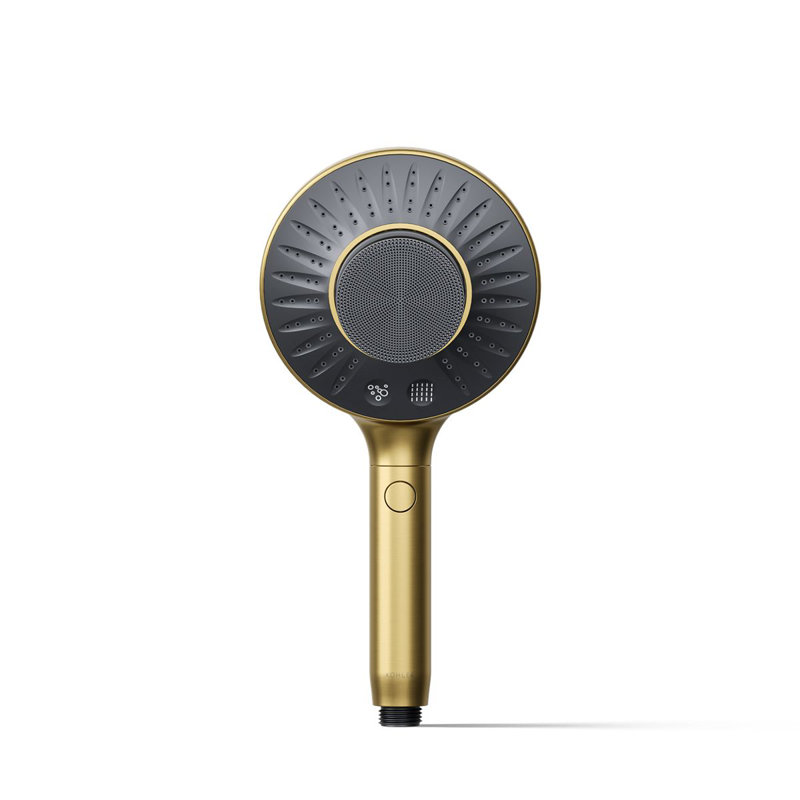 Spaviva Two-Function Handshower With All-In-One Cleansing Device 2.5 GPM, Brushed Brass