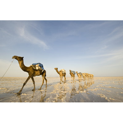 One Of The Last Salt Caravans by Guenterguni - Wrapped Canvas Print