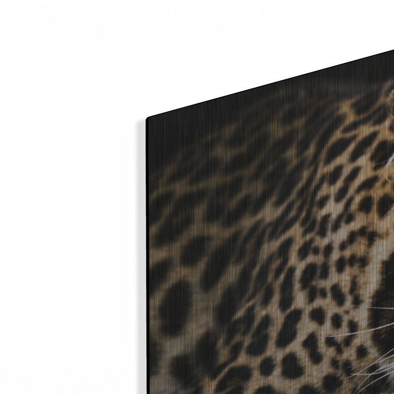 Latitude Wall® «Leopard on the Hunt» par Luxe Portfolio, art mural en métal, 16 po x 12 po, H 24 po x l 36 po